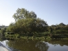  Coventry Canal Scenery                              