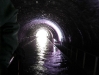  Newbold Tunnel                              