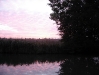  Sunset at Husband\'s Bosworth                              